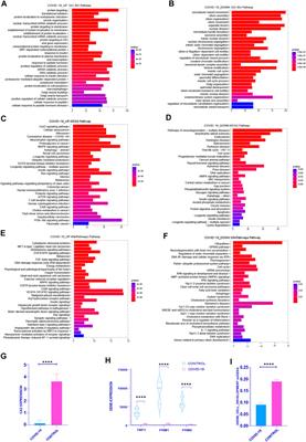 COVID-19 inhibits spermatogenesis in the testes by inducing cellular senescence